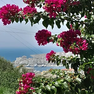 Luxury Dennis , Sarandë Albania